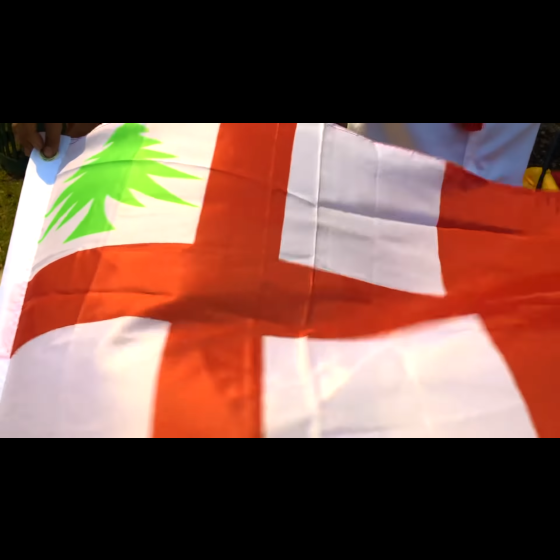 3x5 First New England Flag Ensign Banner Colonial Pennant Reolutionary War - Image 4